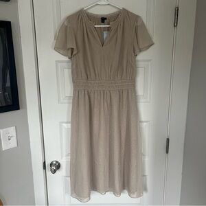 NWT Ann Taylor Petite Dress